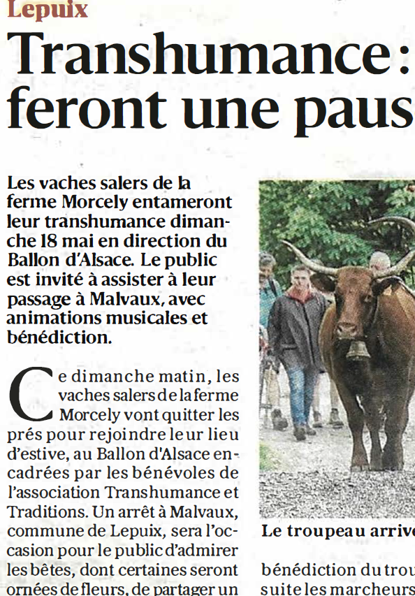 transhumance